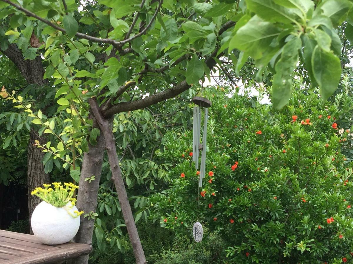 Il Giardino B&B Castelvetro di Modena Esterno foto