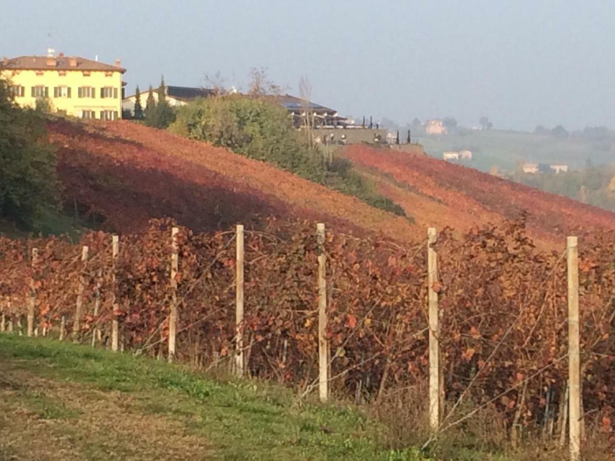 Il Giardino B&B Castelvetro di Modena Esterno foto